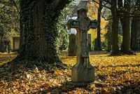 Friedhofsangelegenheiten
