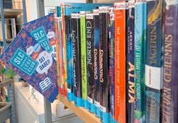 Sommerleseclub Medienangebot