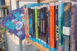 Sommerleseclub Medienangebot