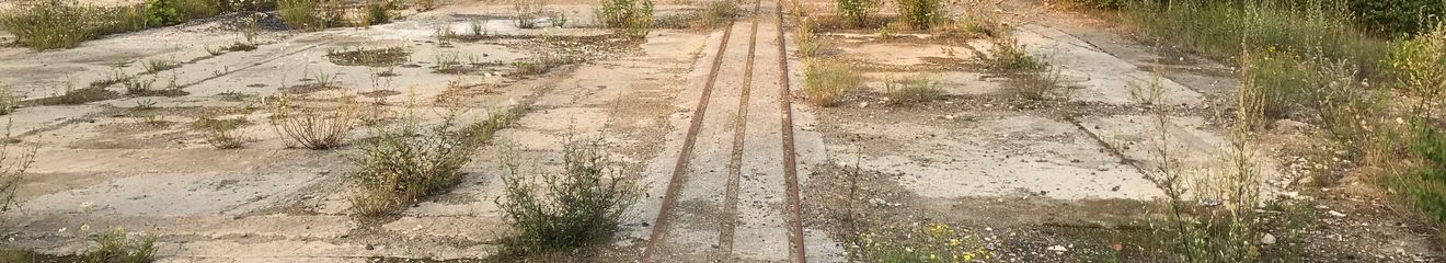 Foto: Martin Michalzik